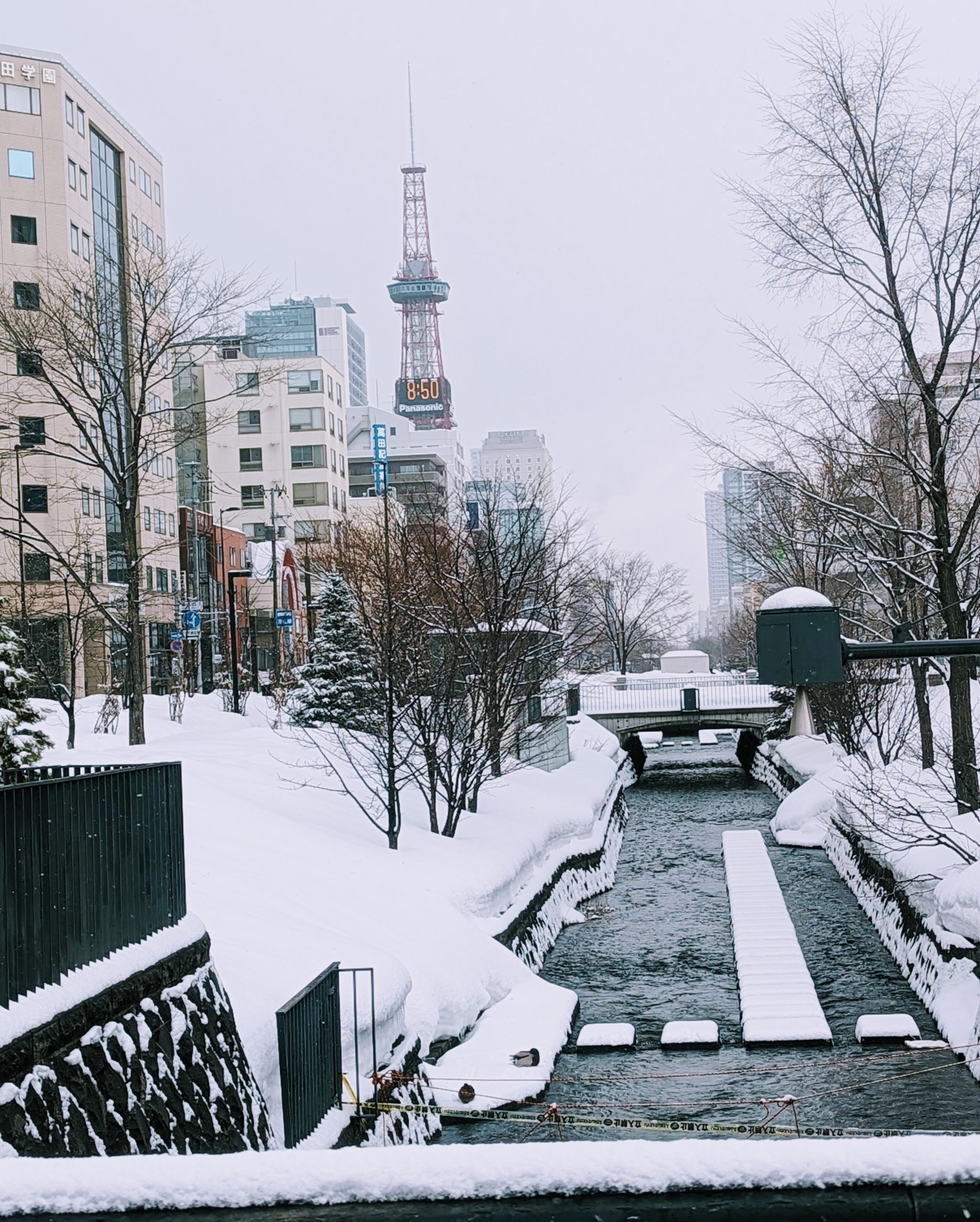 札幌・・・雪の風景
