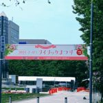 さっぽろライラックまつり