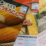 とうもろこしギフト🌽