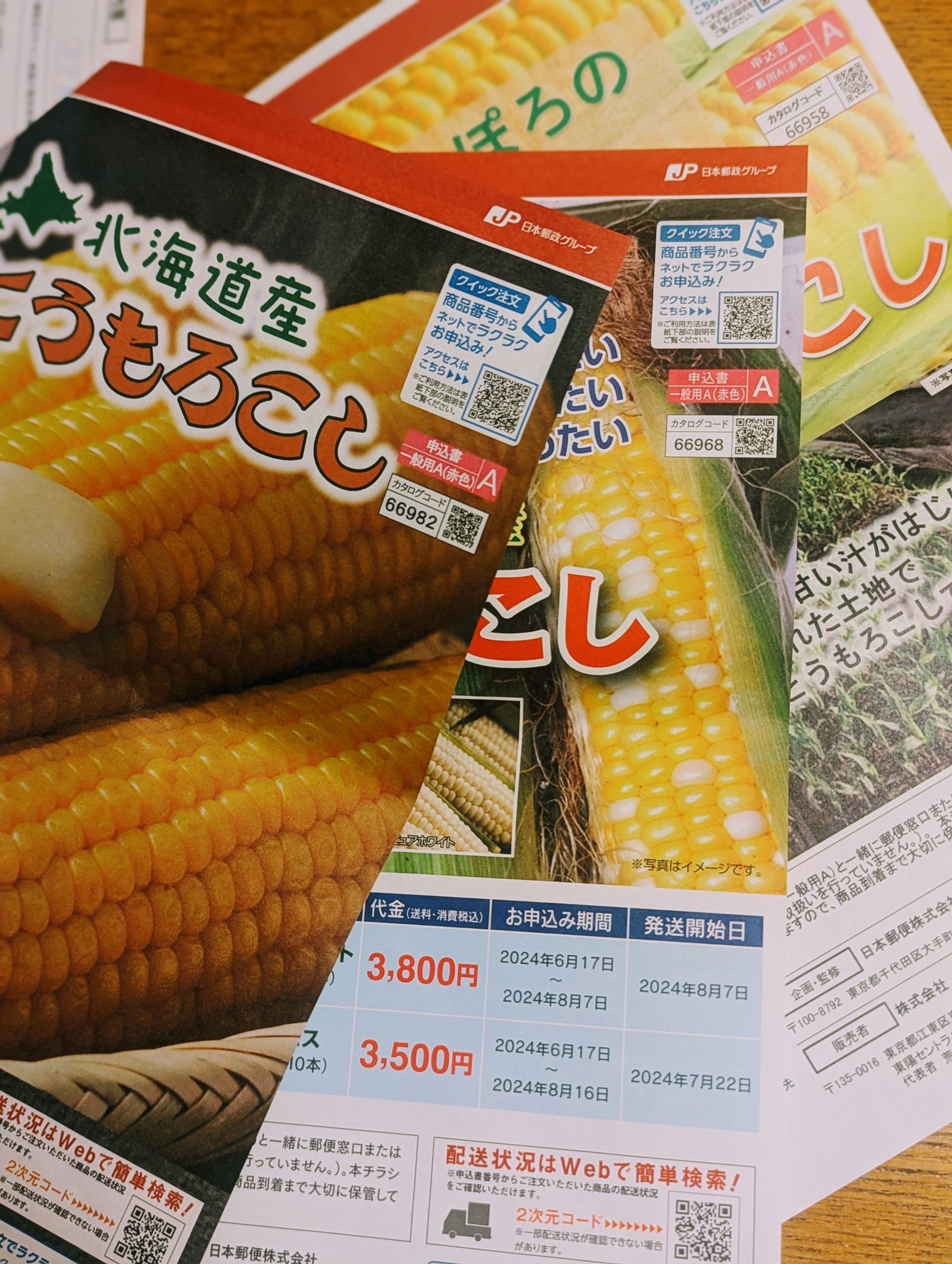 とうもろこしギフト🌽