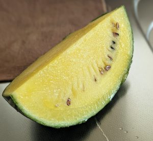 夏はスイカとそうめん