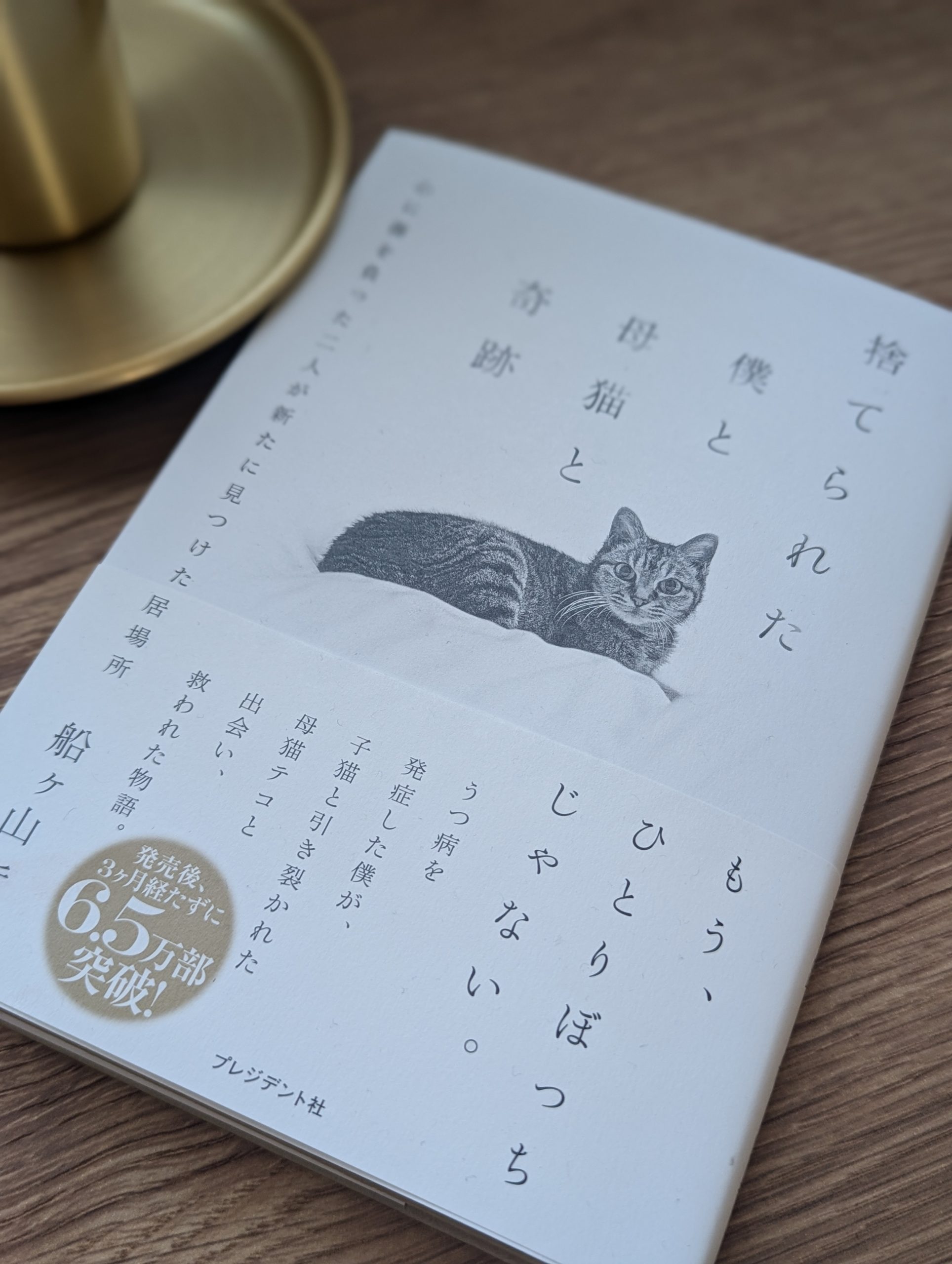 たのしい読書📖